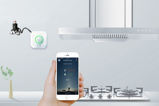 Protect your Home from Dangerous Gas Leaks