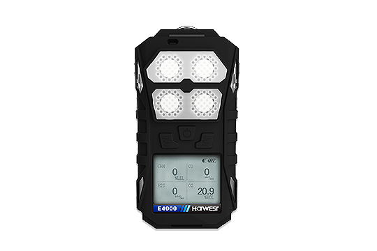 E4000 Portable Multi-gas Detect